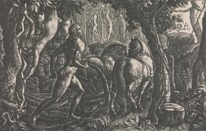 The Ploughman
